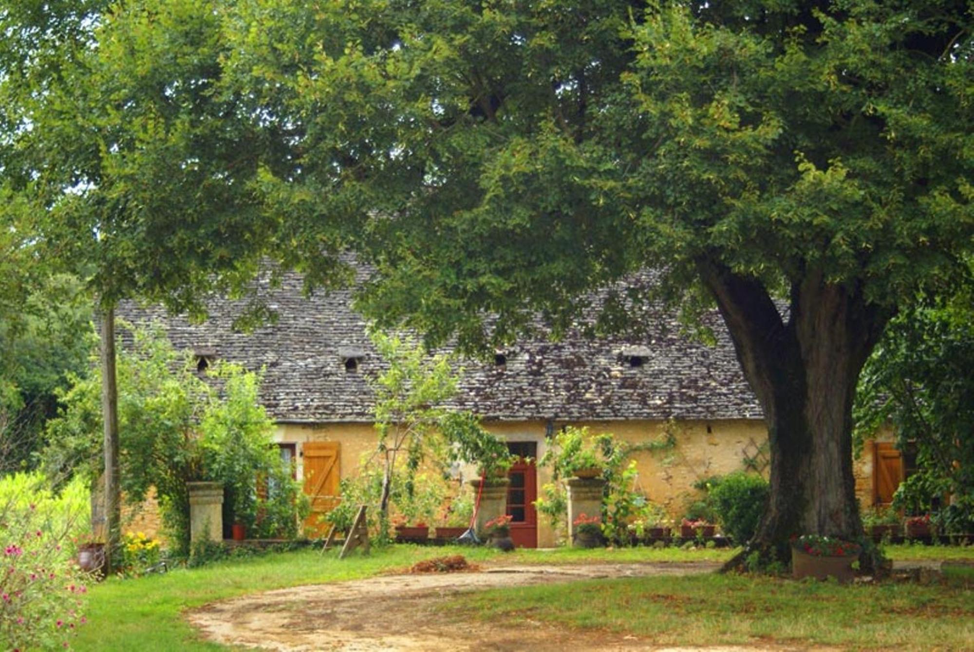 La Ferme Du Pech Bed and Breakfast Saint-Genies Exteriör bild